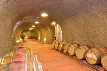  Napa Valley Vineyard and Winery For Sale - Wine Cave - Napa Valley - Wine Real Estate